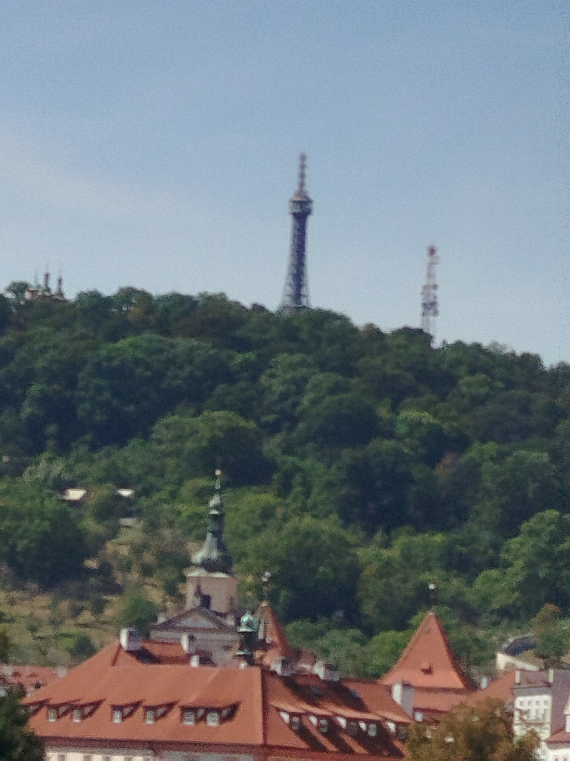 1000071767-standard.jpg