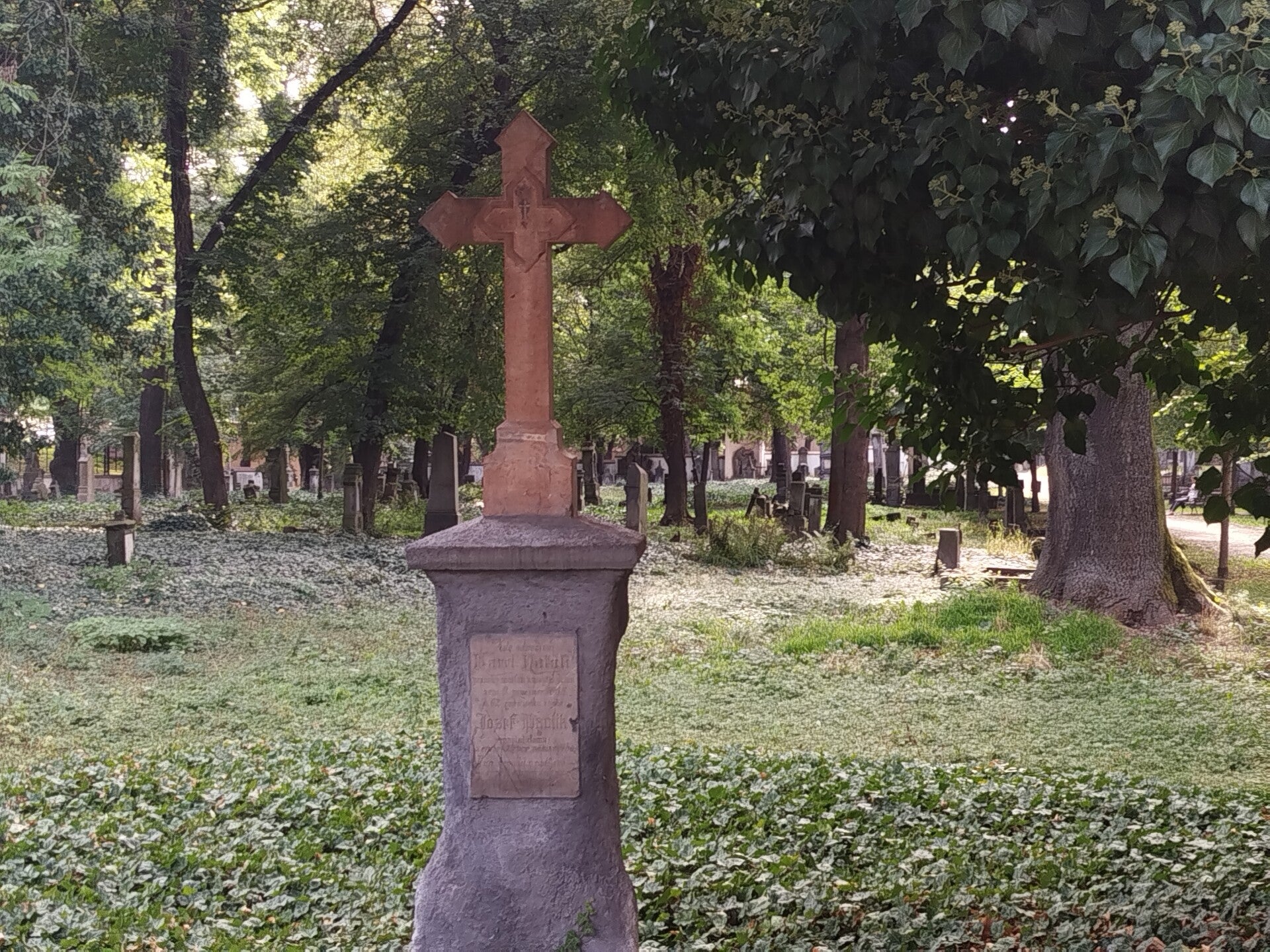 1000071815-standard.jpg
