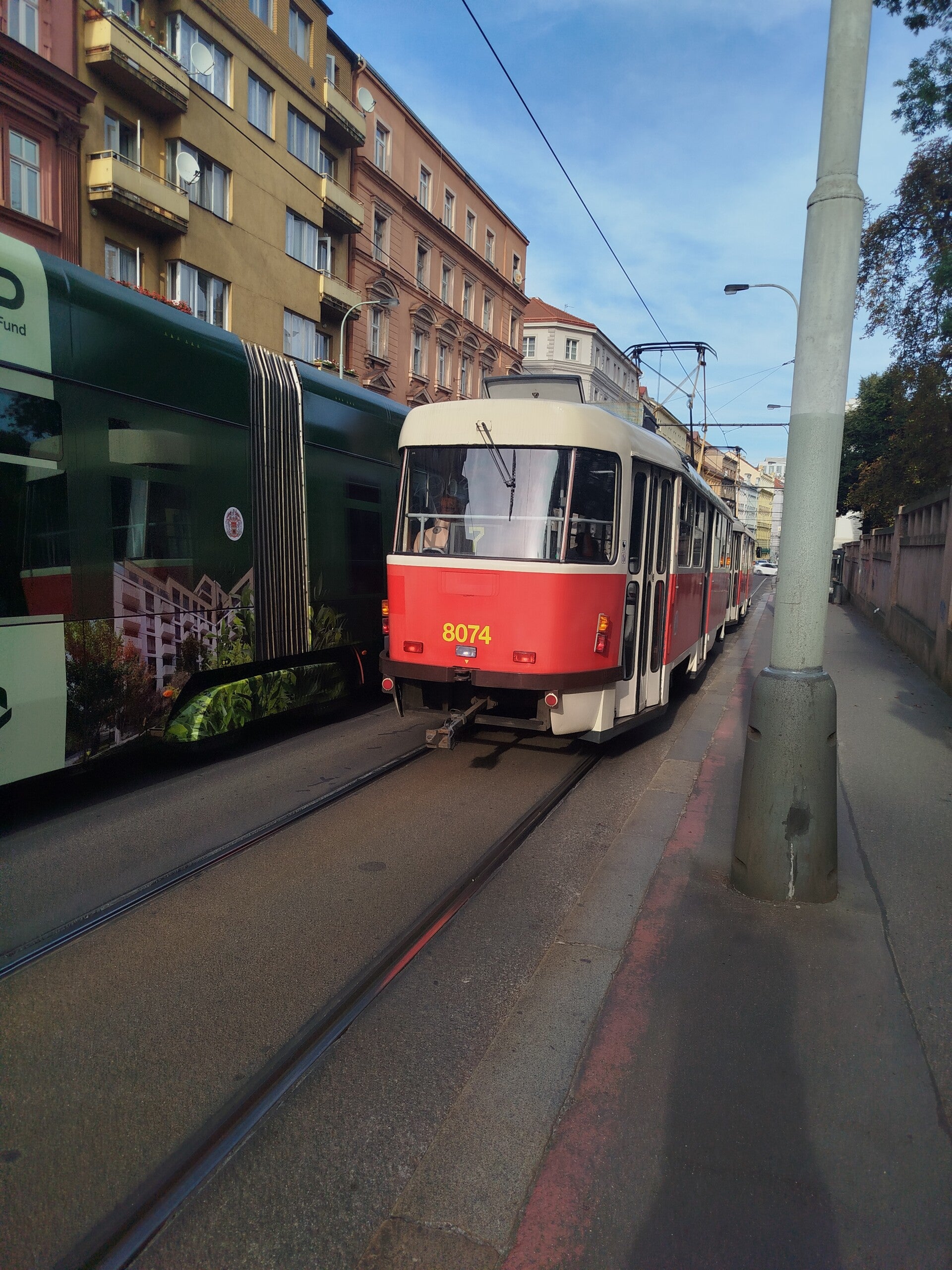 1000071825-standard.jpg
