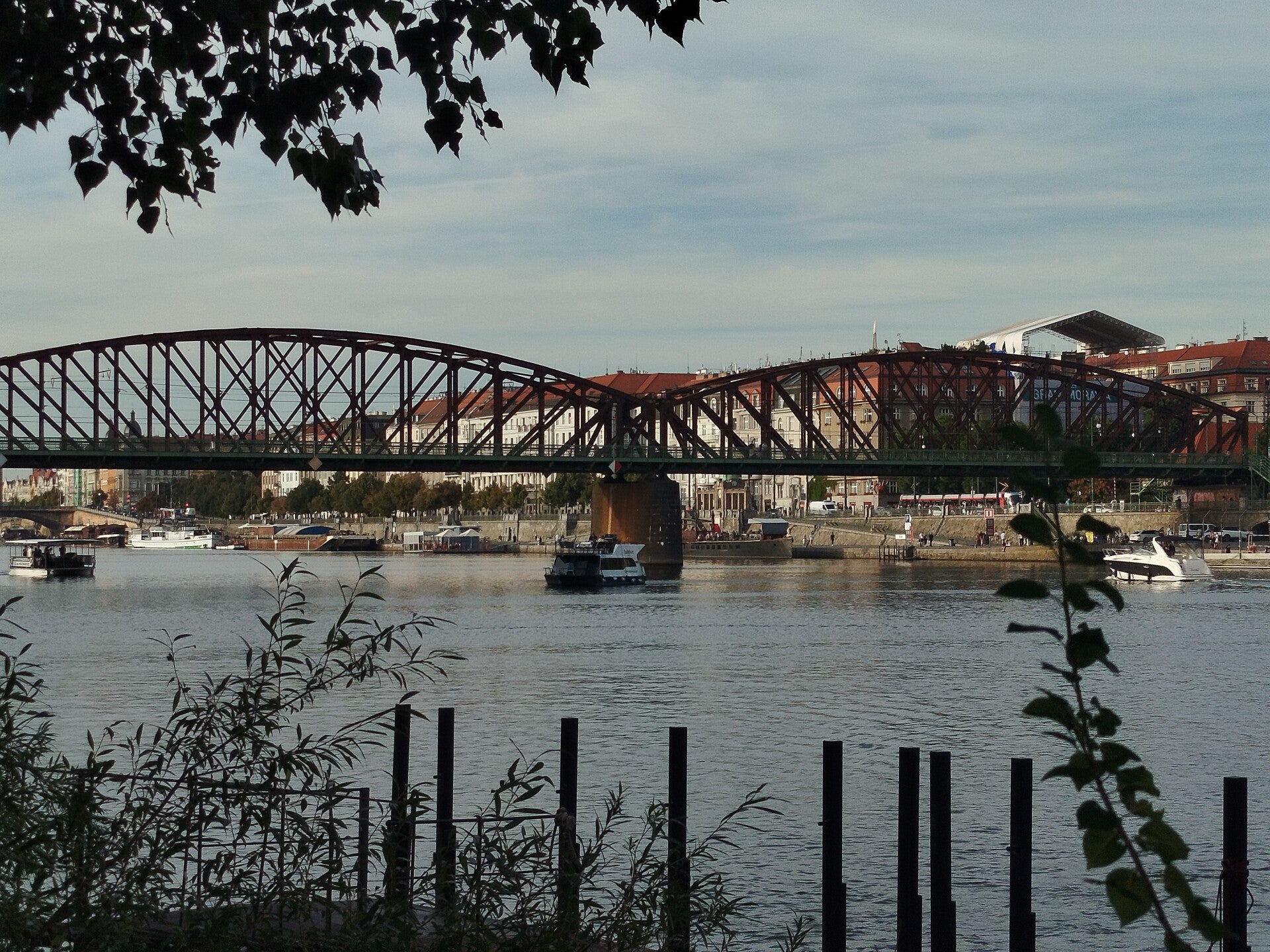 1000071831-standard.jpg