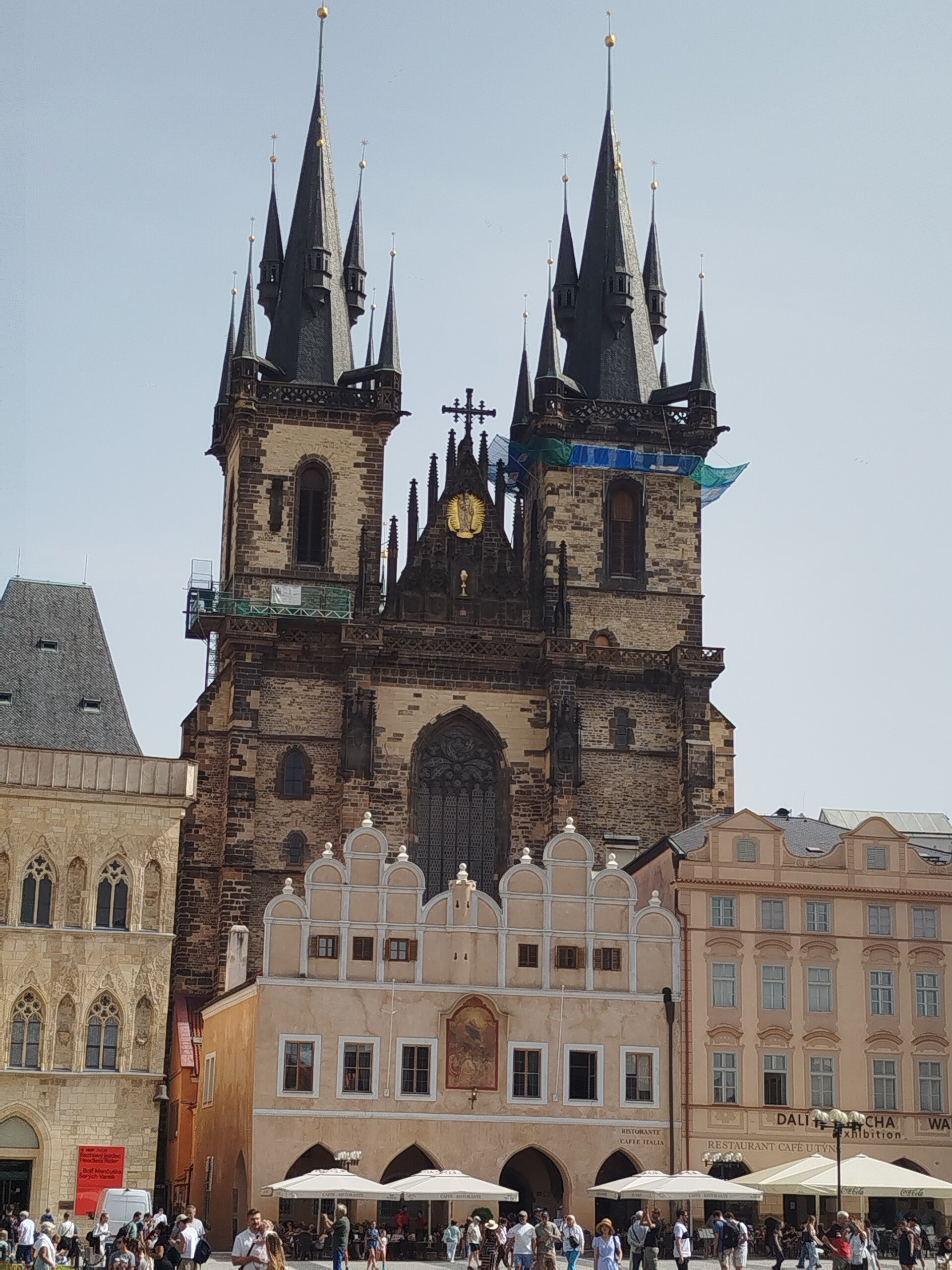 1000071939-standard.jpg