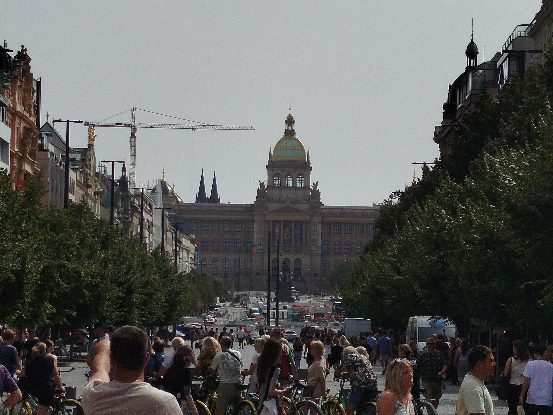 1000071979-standard.jpg