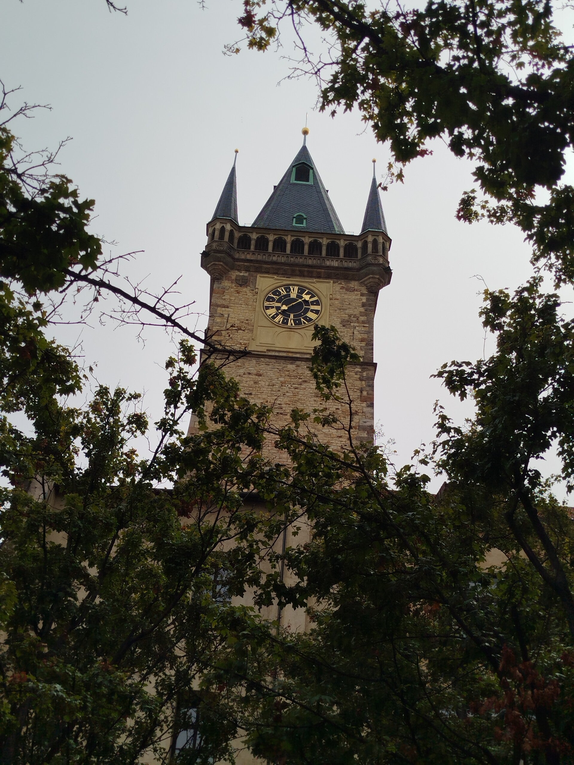 1000072020-standard.jpg