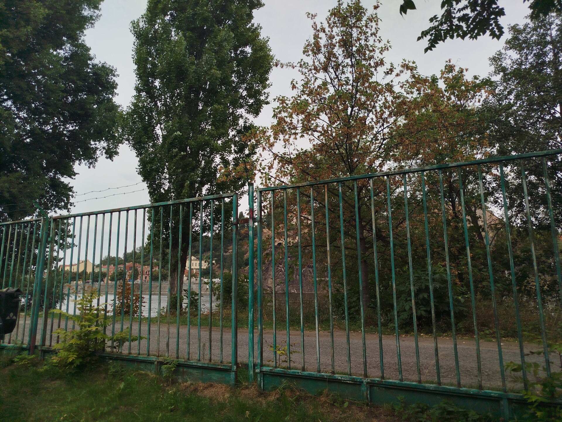 1000072052-standard.jpg