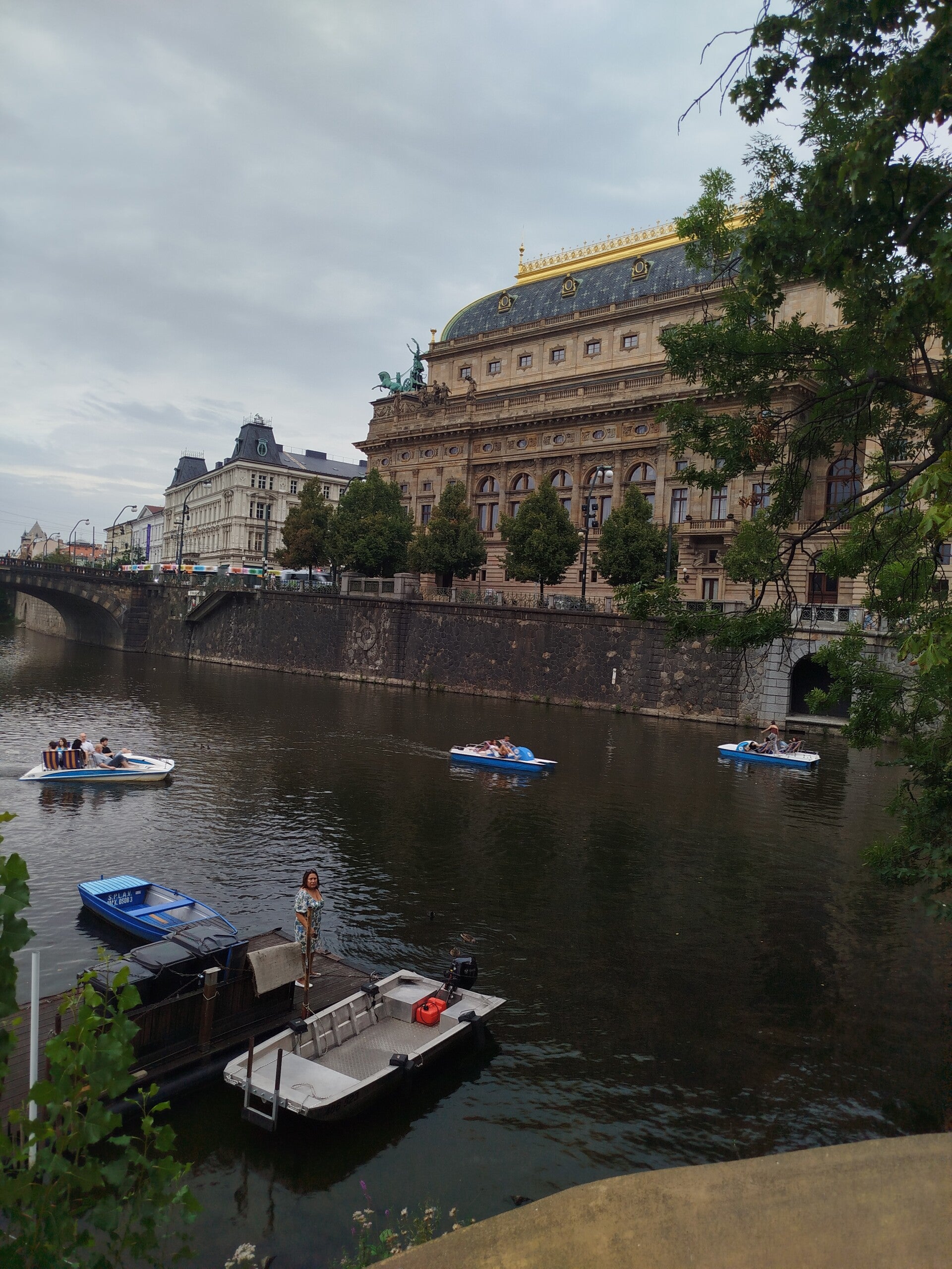 1000072091-standard.jpg