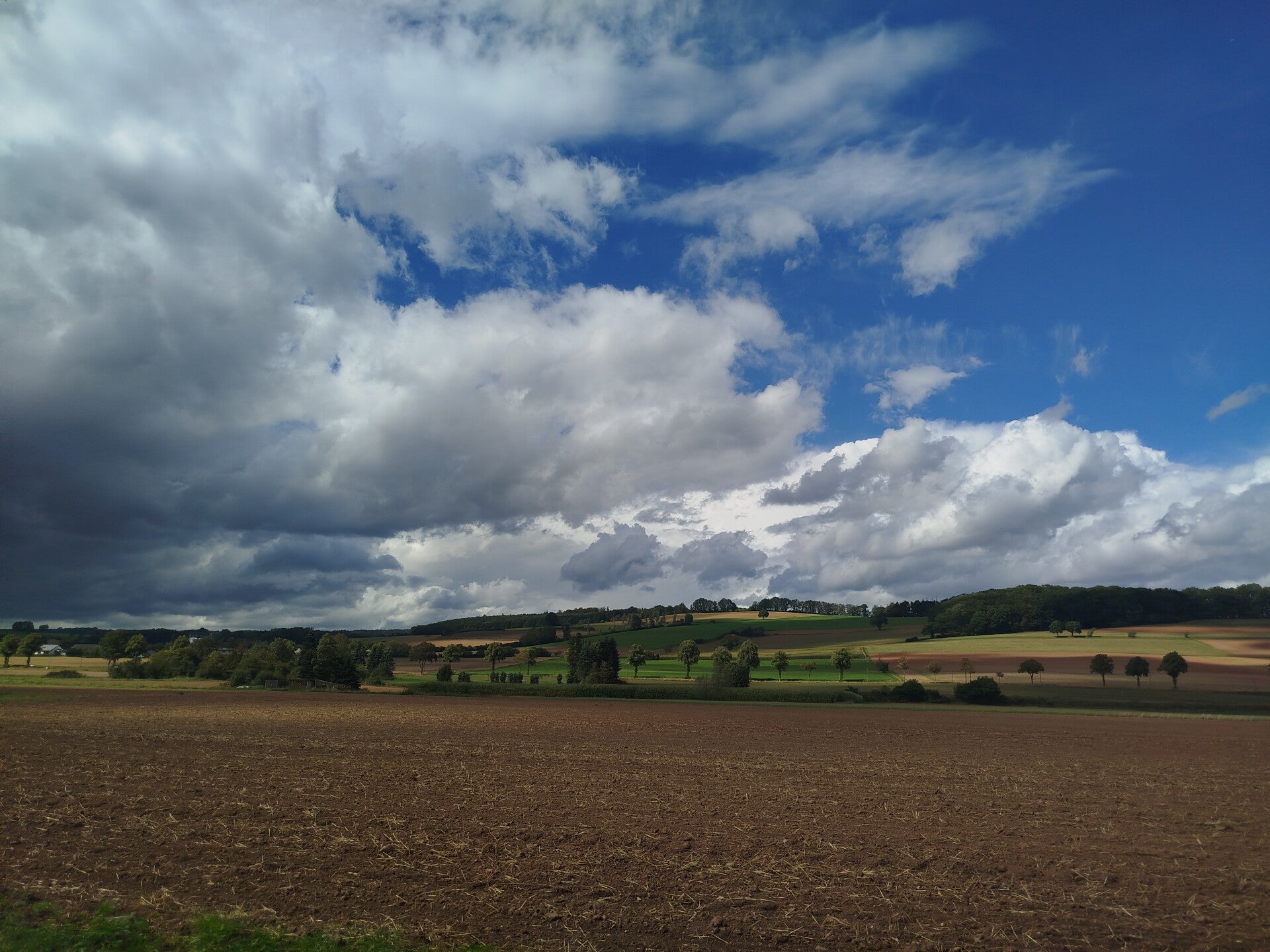 1000072737-standard.jpg