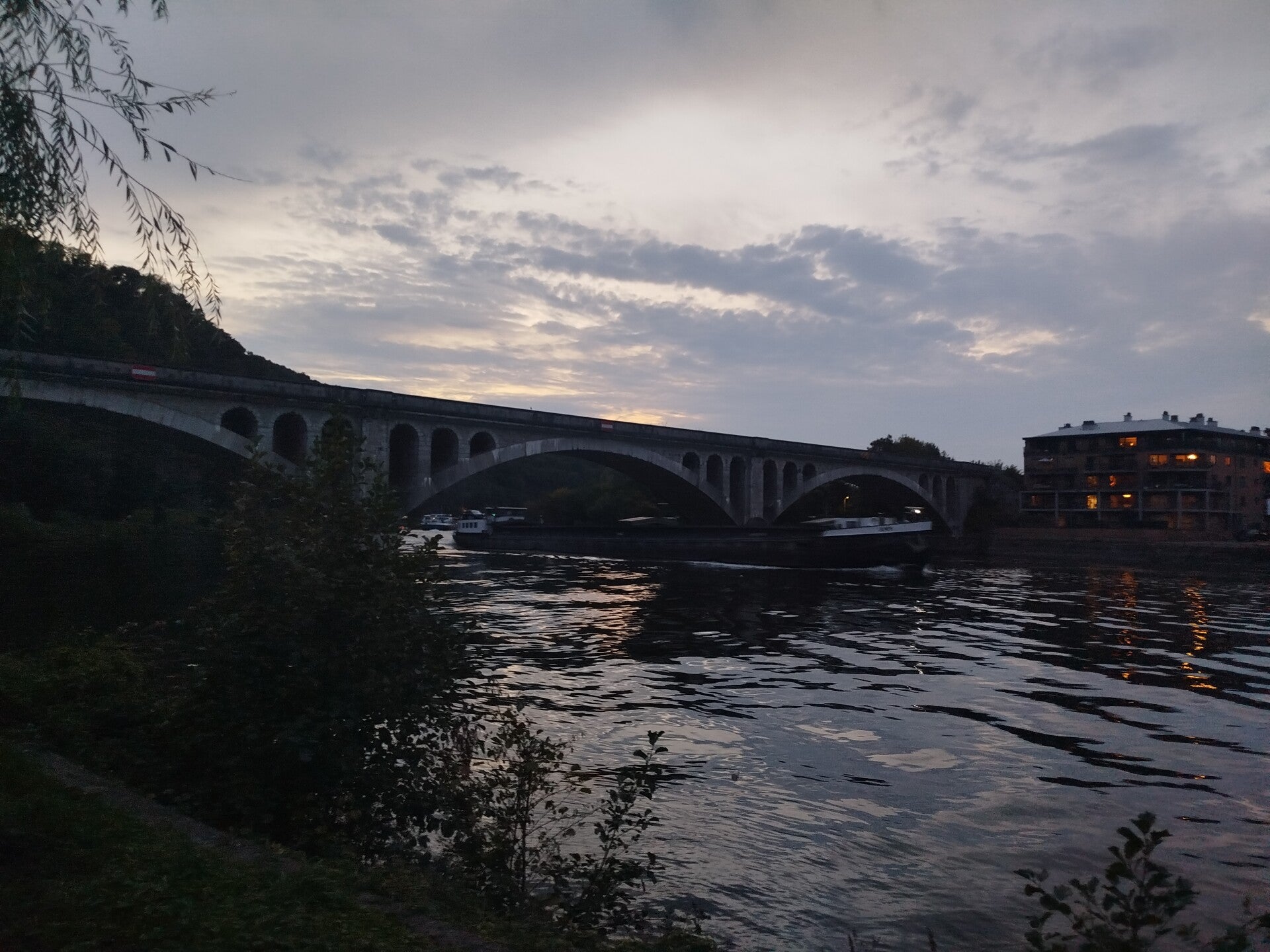 1000076967-standard.jpg