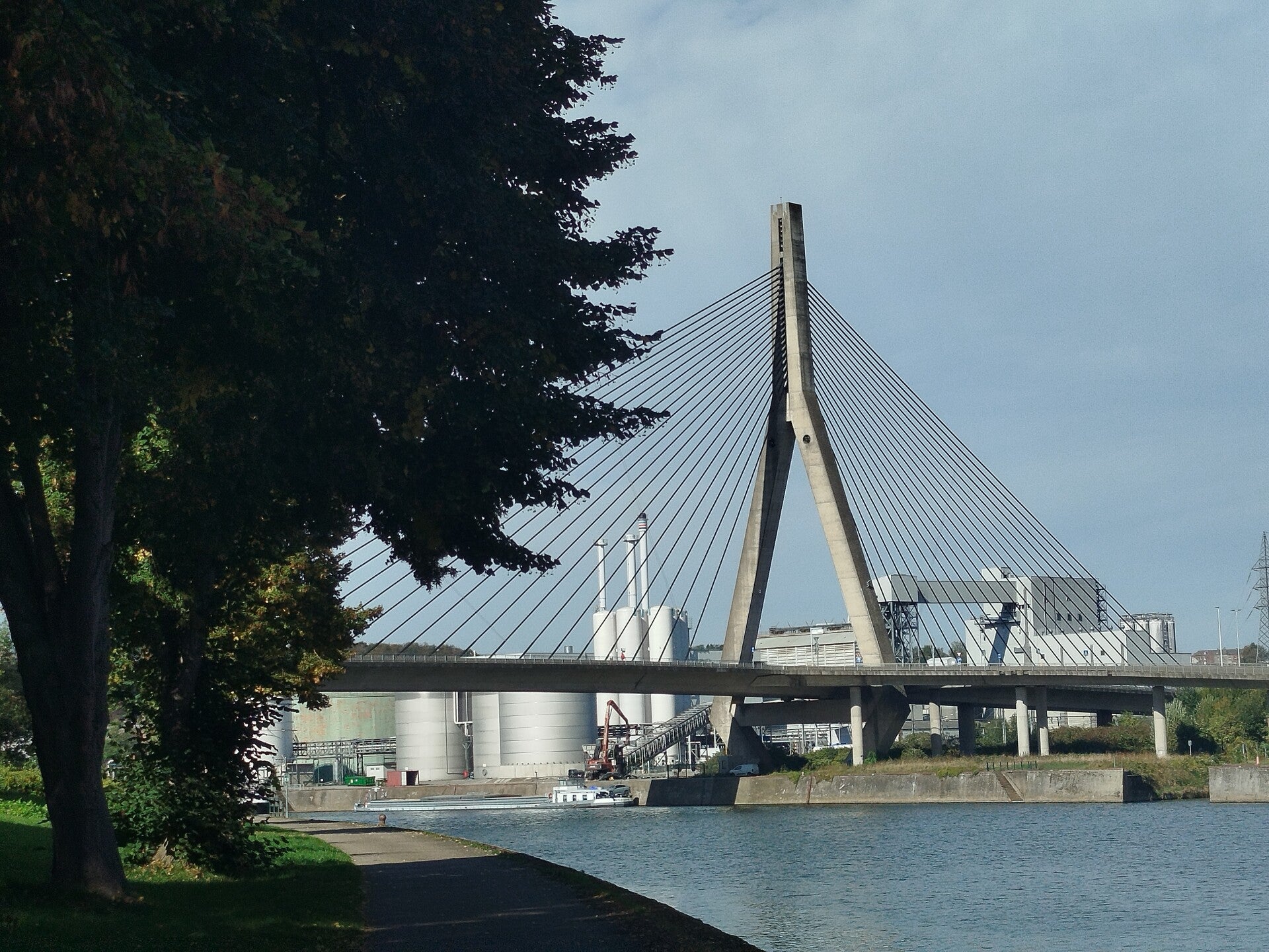 1000077078-standard.jpg