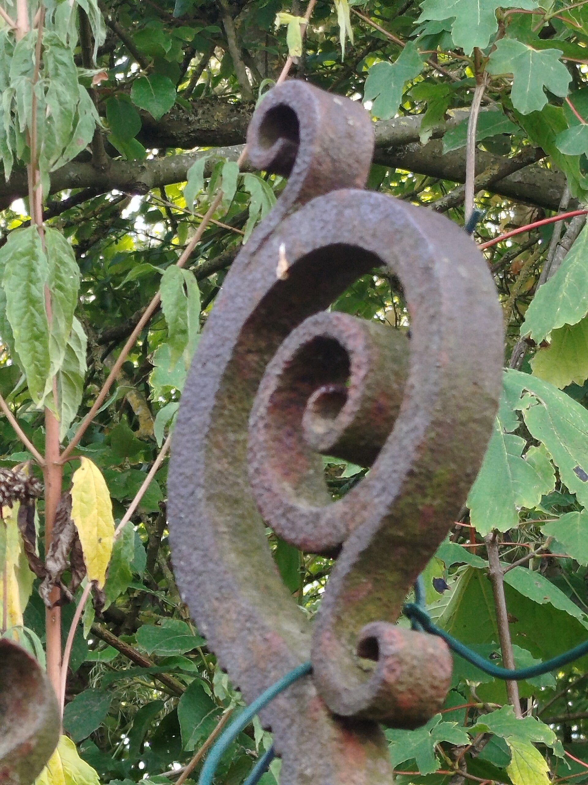 1000077715-standard.jpg