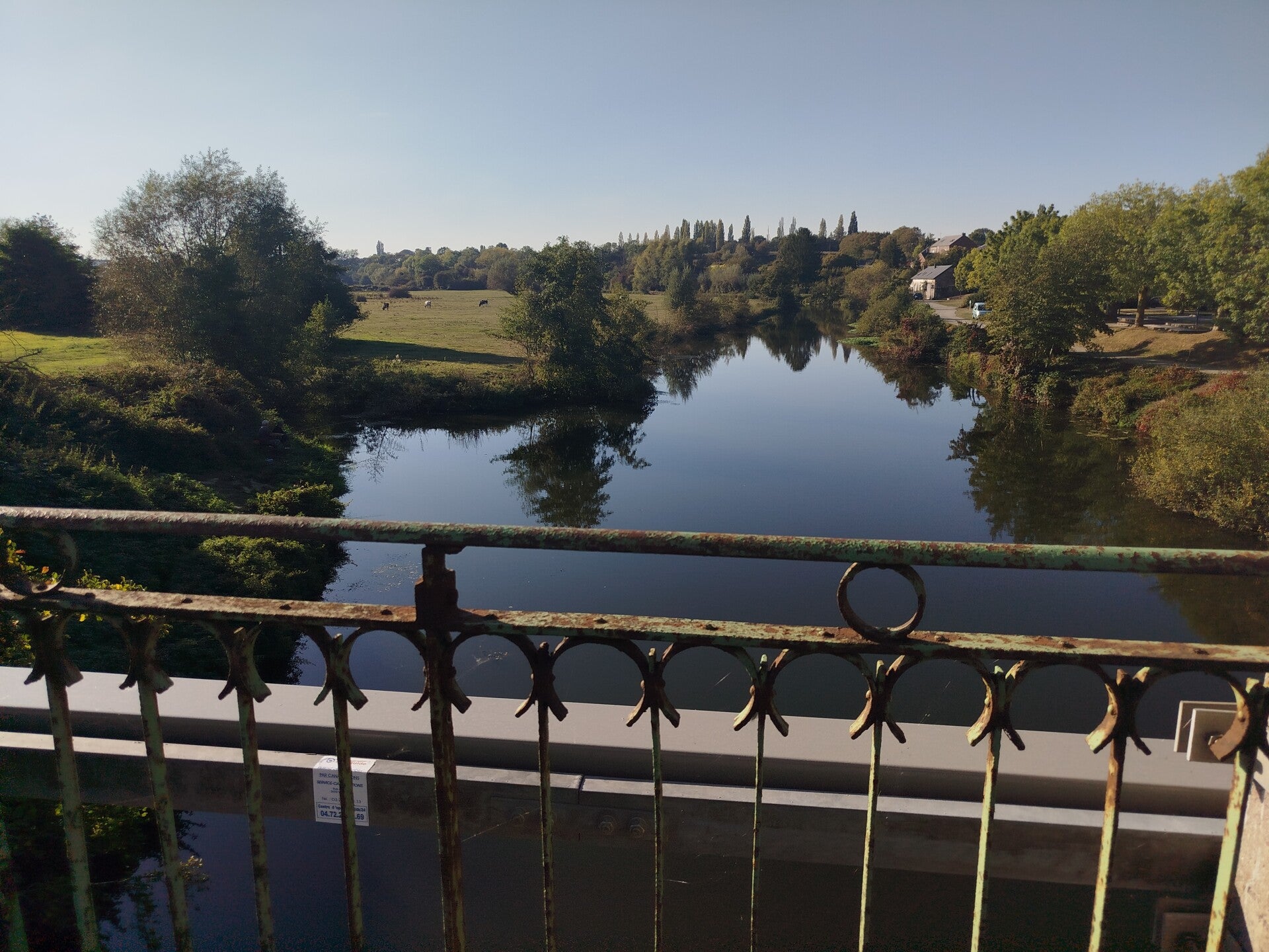 1000078158-standard-7w04aq.jpg