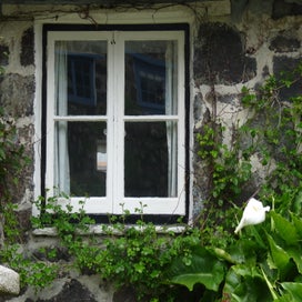 p1200851.jpg