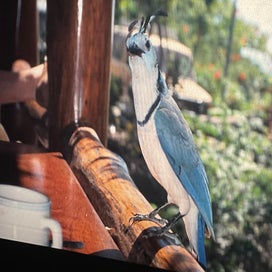 img_0322.jpeg
