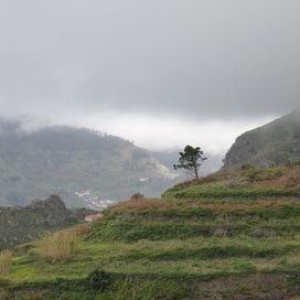 p1240599jpg.jpg