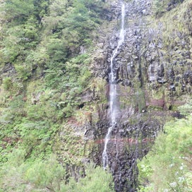 p1240263jpg.jpg