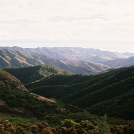 f1000004.jpg