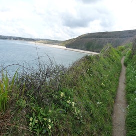 p1200177.jpg