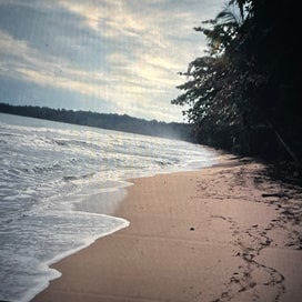 img_0233.jpeg