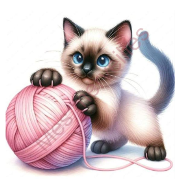 Coupon tissu Chat021