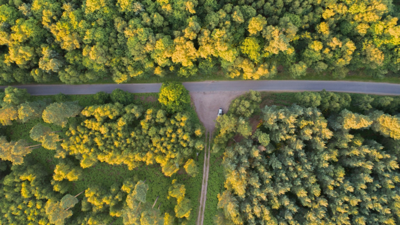 Auto staat op T-splitsing van wegen in een bos