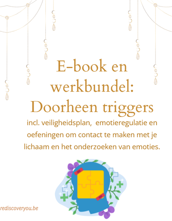 Werkbundel: Doorheen triggers, veiligheidsplan & emotieregulatie