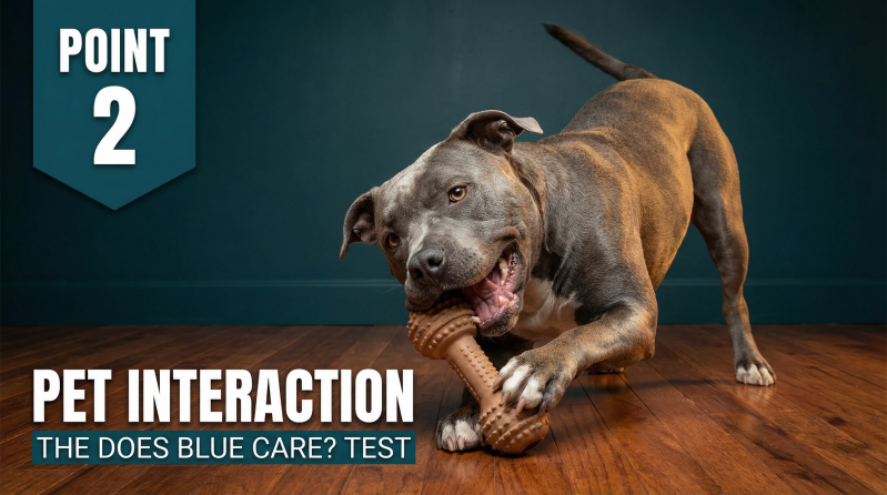 Point 2 of blues 4 point system is Pet Interaction The does Blue care test