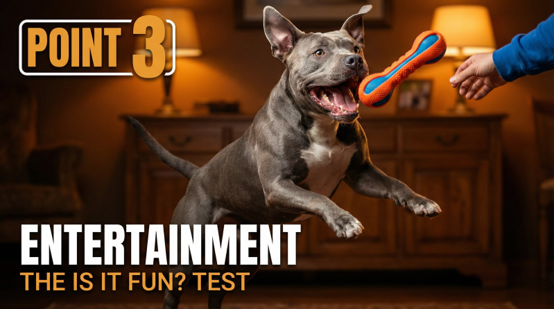 Point 3 of the 4 point system Entertainment is the chew toy fun? and not just for the pet either.