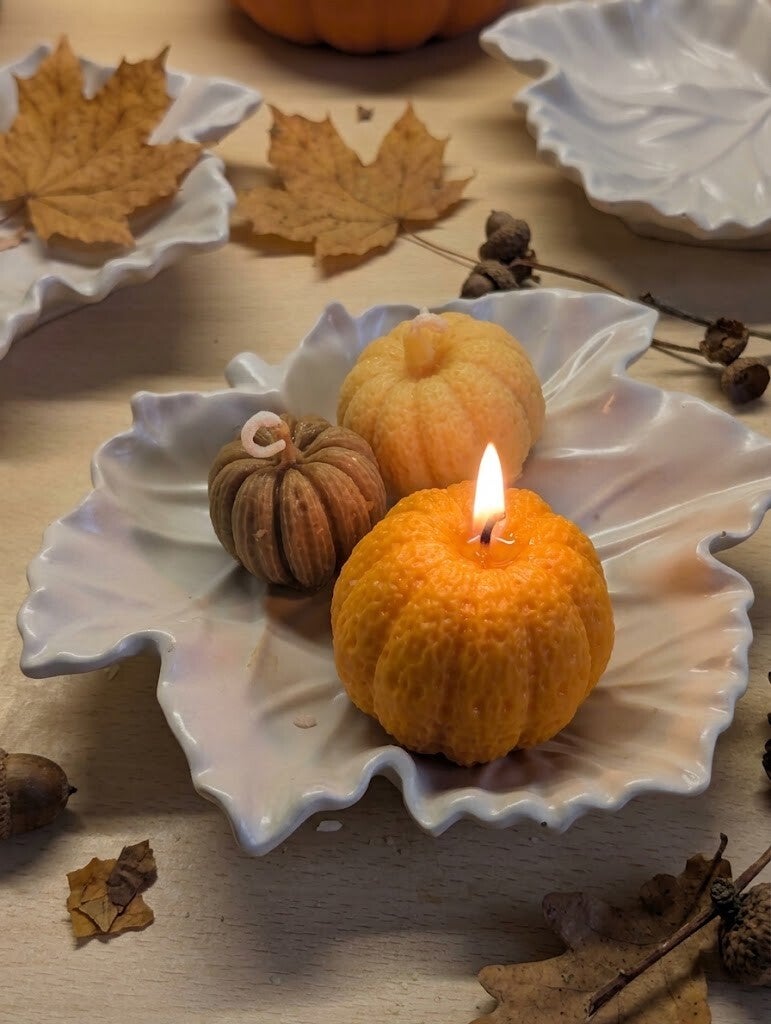 Petite Citrouille & Feuilles d'Automne