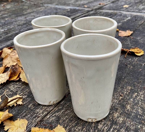 Set Van 4 Margrietjes Birch