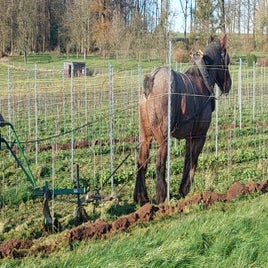 20241130_112148-standard.jpg