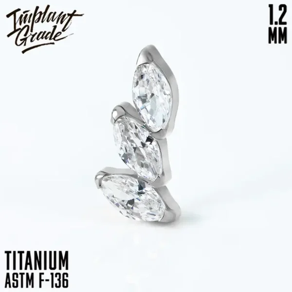 Titanium ''Plume mini'' cluster