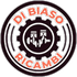 dibiasoricambi