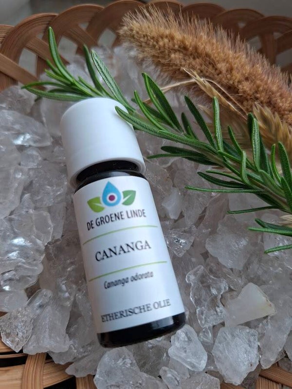 Cananga olie DGL 10ml