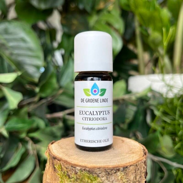 Eucalyptus Citriodora DGL 10ml