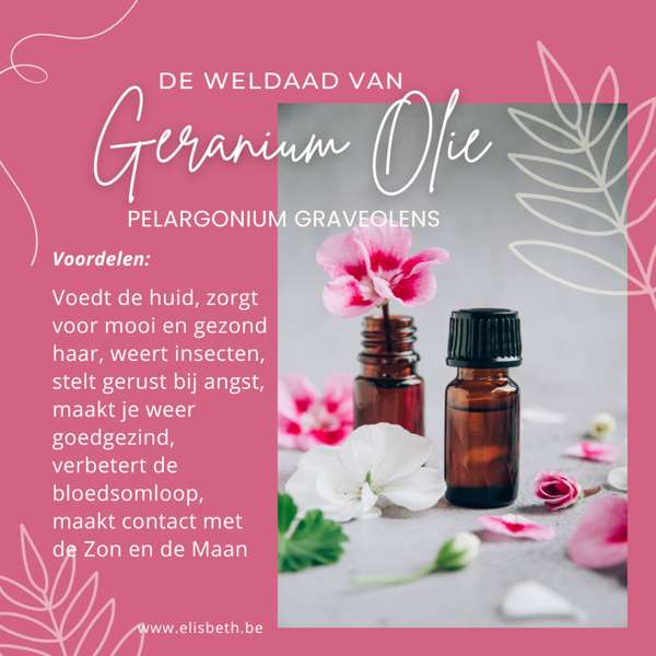 Geraniumolie 10ml
