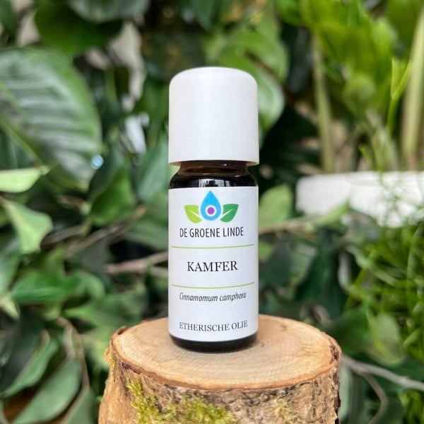 Kamfer essentiële olie 10ml