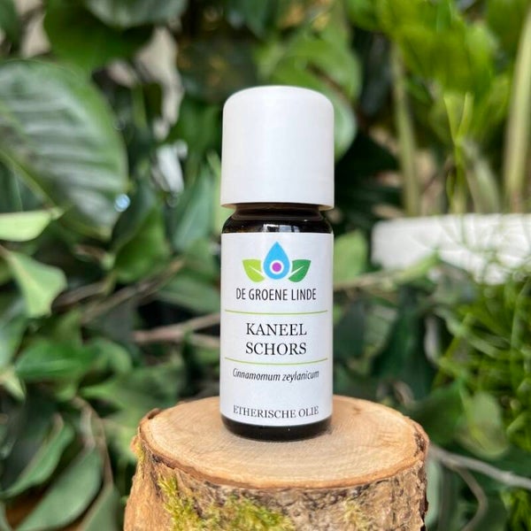 kaneelschors essentiële olie 10ml