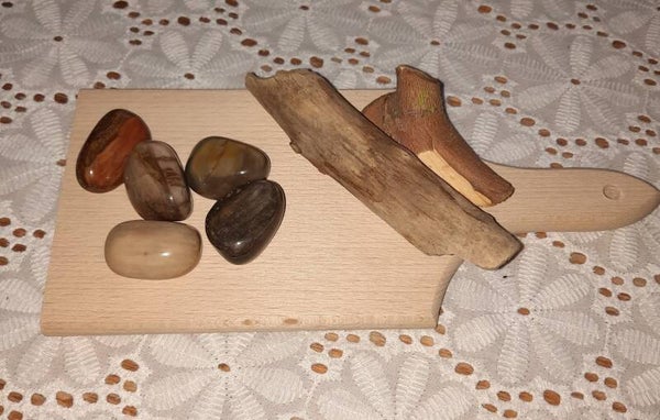 versteend hout knuffelsteen