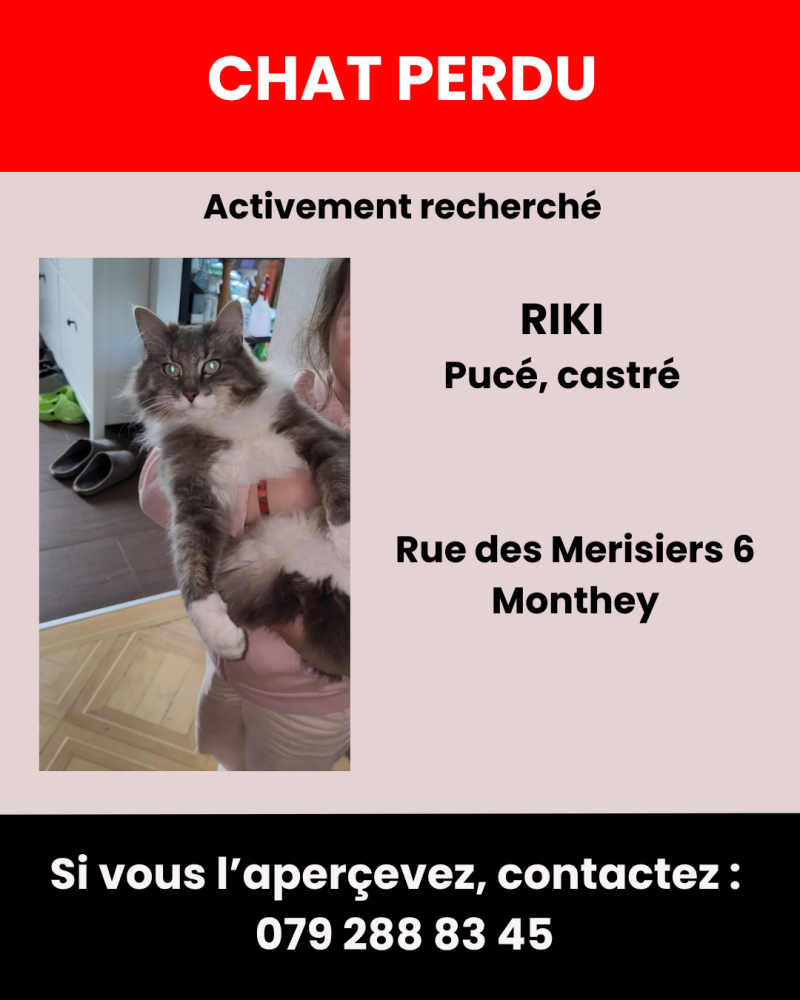 affiche-riki-standard-pw28k4.png