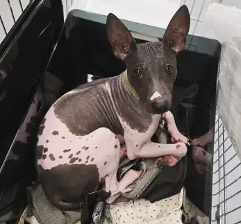 img_20240322_144040_397-standard.webp