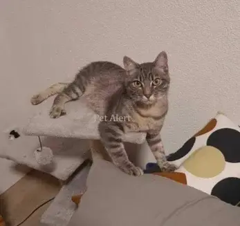 img_20240719_222323-high-standard.webp