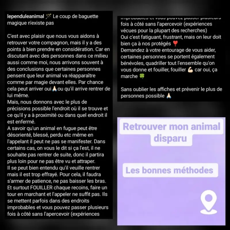 incollage_20241103_191519209-high-standard.webp