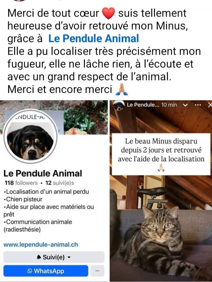 whatsapp-image-2026-04-29-at-17-53-17-copie-standard.jpg