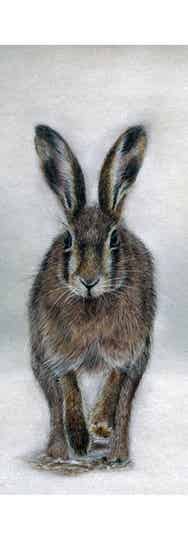 Boekenlegger 'Little Dancer'