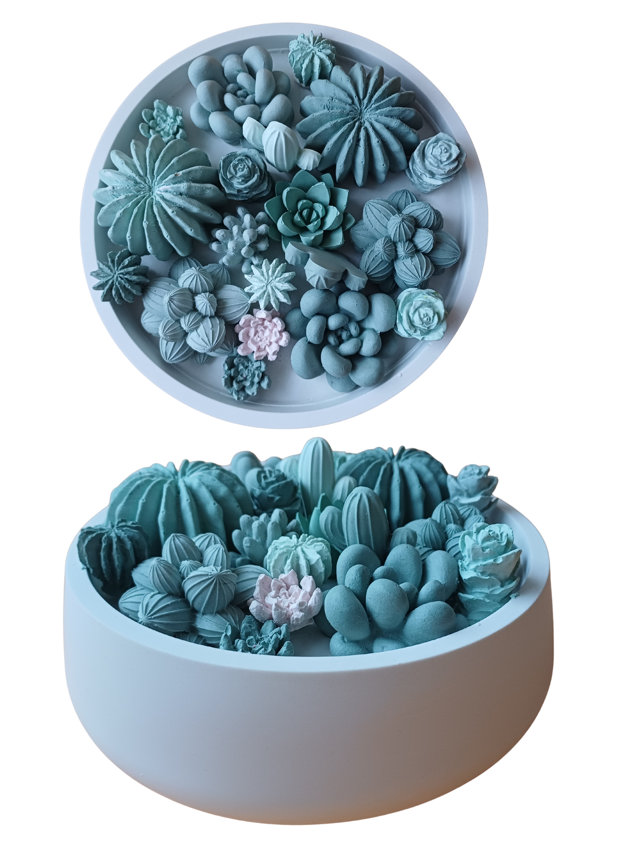 Schaal gevuld met keramieken vetplantjes en cactussen