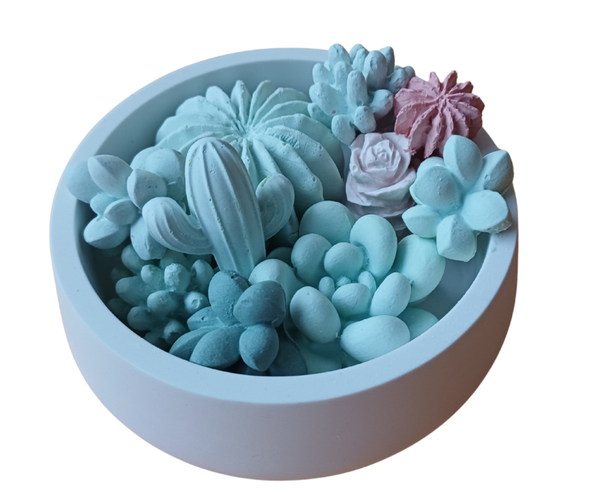 schaal gevuld met keramieken vetplantjes en cactussen.