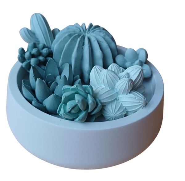 schaal gevuld met keramieken vetplantjes en cactussen