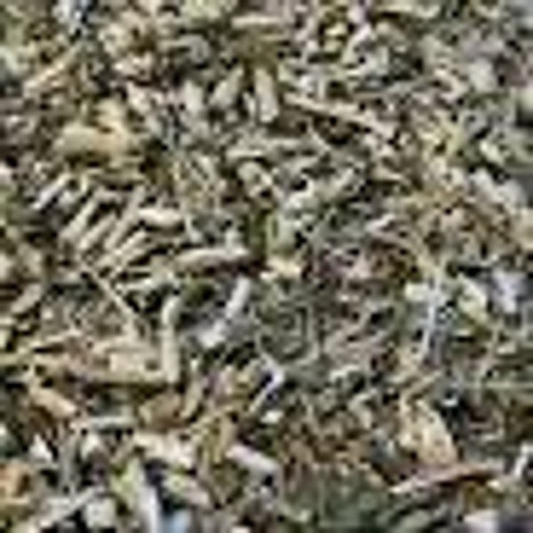 Echinacée - 25 g -* le comptoir d 'herboristerie