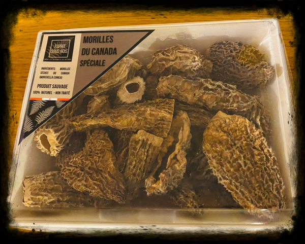 Morilles sèches Spéciales - 100 g - Esprit Sous-Bois
