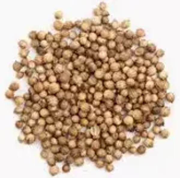 Coriandre graines - vrac - 100 g - un jour une épice