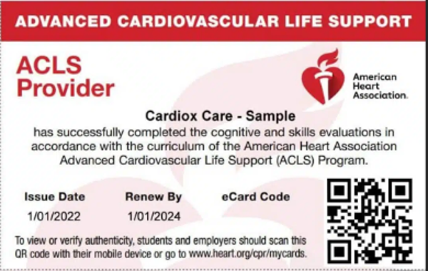 AHA ACLS Provider